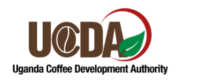 Screenshot 2025-06-20 073924