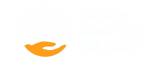 Screenshot_2025-06-20_073116-removebg-preview